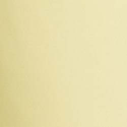 Bristol Yellow