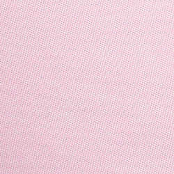 Pink Flamingo