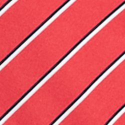 Spring Red Multi