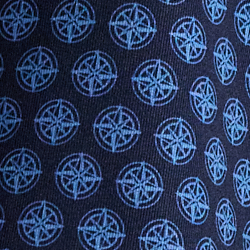 Florida Blue Compass