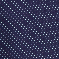Refined Navy Pin Dot