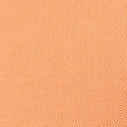 Fair Orange Fishing Bear