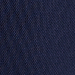 Cruise Navy Preppy Bear