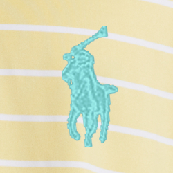 Corn Yellow/White