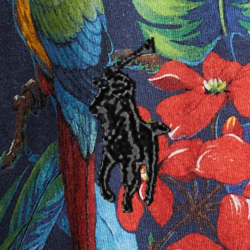 Parrot Multi