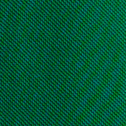 Primary Green