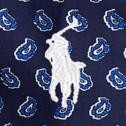 Gansett Foulard