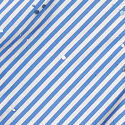 Navy/White