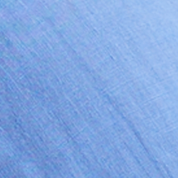 Blue Flower