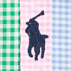 Gingham Funshirt