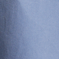 Carson Blue
