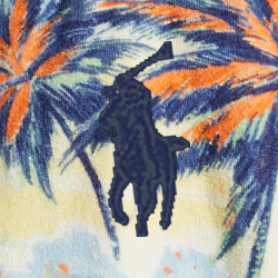 Hawaiian Beach Bazaar