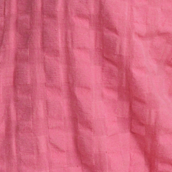 Poolside Rose