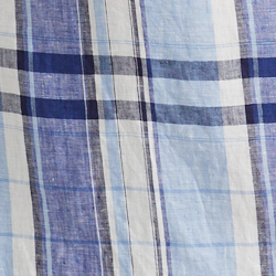 Blue/White
