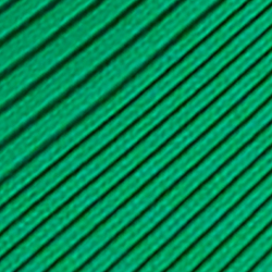 Palm Leaf