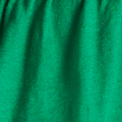 Palm Leaf