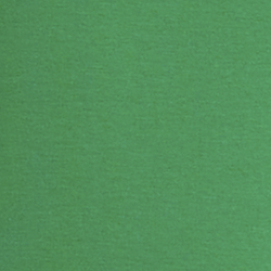 Palm Leaf