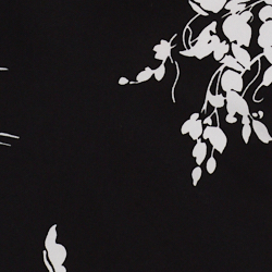 Black/White