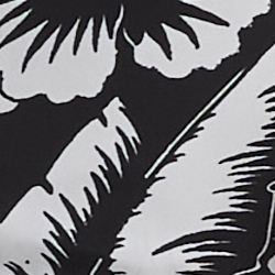 Black/White
