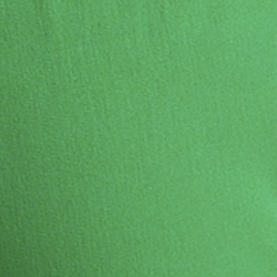 Palm Leaf