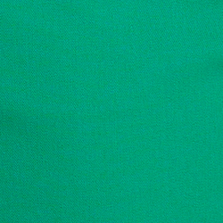 Palm Leaf