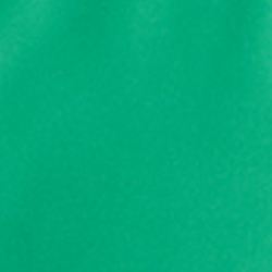 Palm Leaf