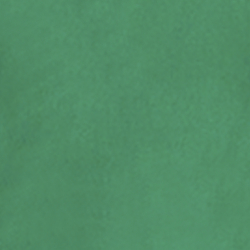 Palm Leaf