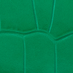 Palm Leaf