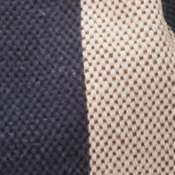Vanilla/Lauren Tan