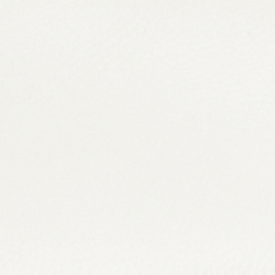 Vanilla