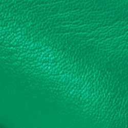 Palm Leaf