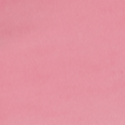 Sport Pink