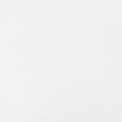Multicolor Logo/White