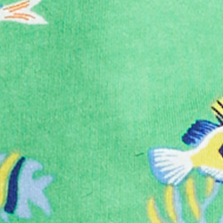 Klassisch-Irisch Bearw.