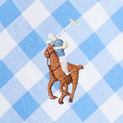 Blue Gingham