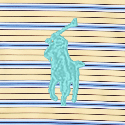 Corn Yellow Multi