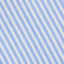 Blue/White
