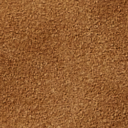 Desert Khaki