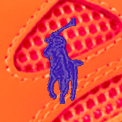 Orange/Royal