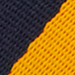Navy/White/Yellow