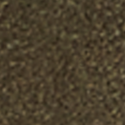 Canopy Olive