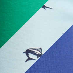Aqua Sailfish Print