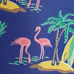 Coconut Flamingos Print