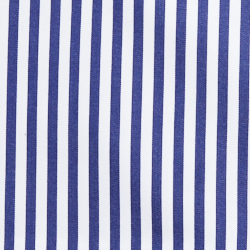 Classic Stripe/ Royal