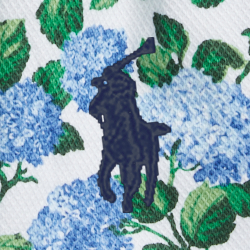 Hydrangea Floral