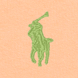 Orange Splash