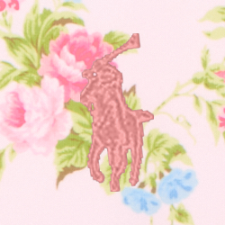 Hannah Floral
