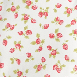 Strawberry Print