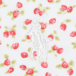 Strawberry Print