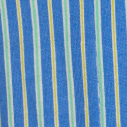 Blue Stripe